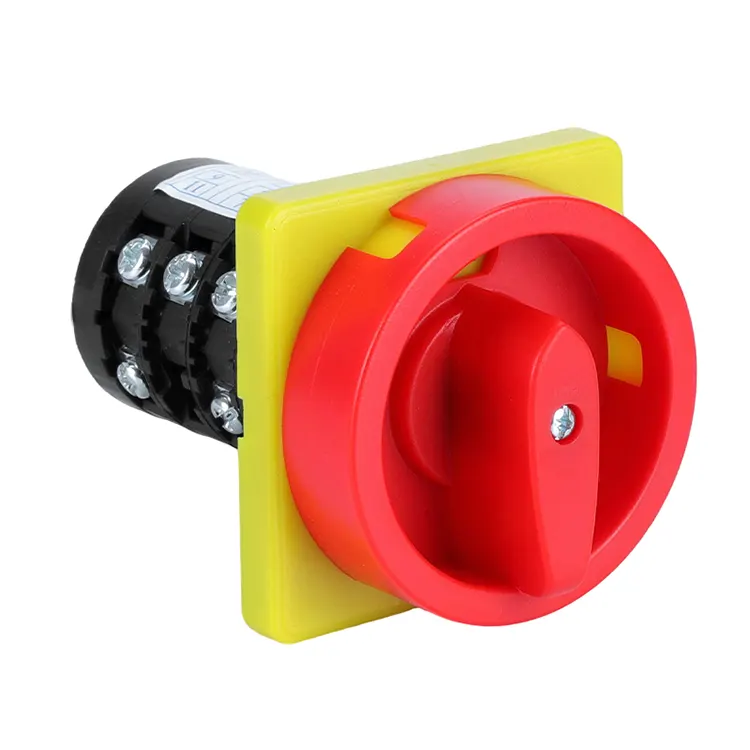 20A 자물쇠 두 위치 조합 로터리 캠 스위치